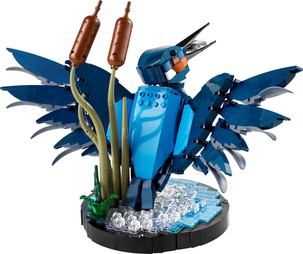 Icons: Kingfisher Bird
