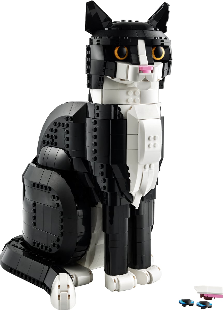 Ideas: Tuxedo Cat