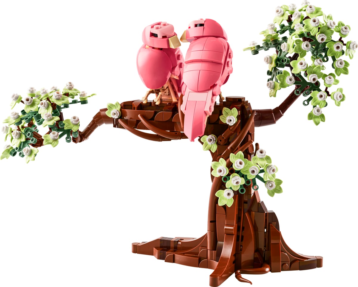 Ideas: Love Birds