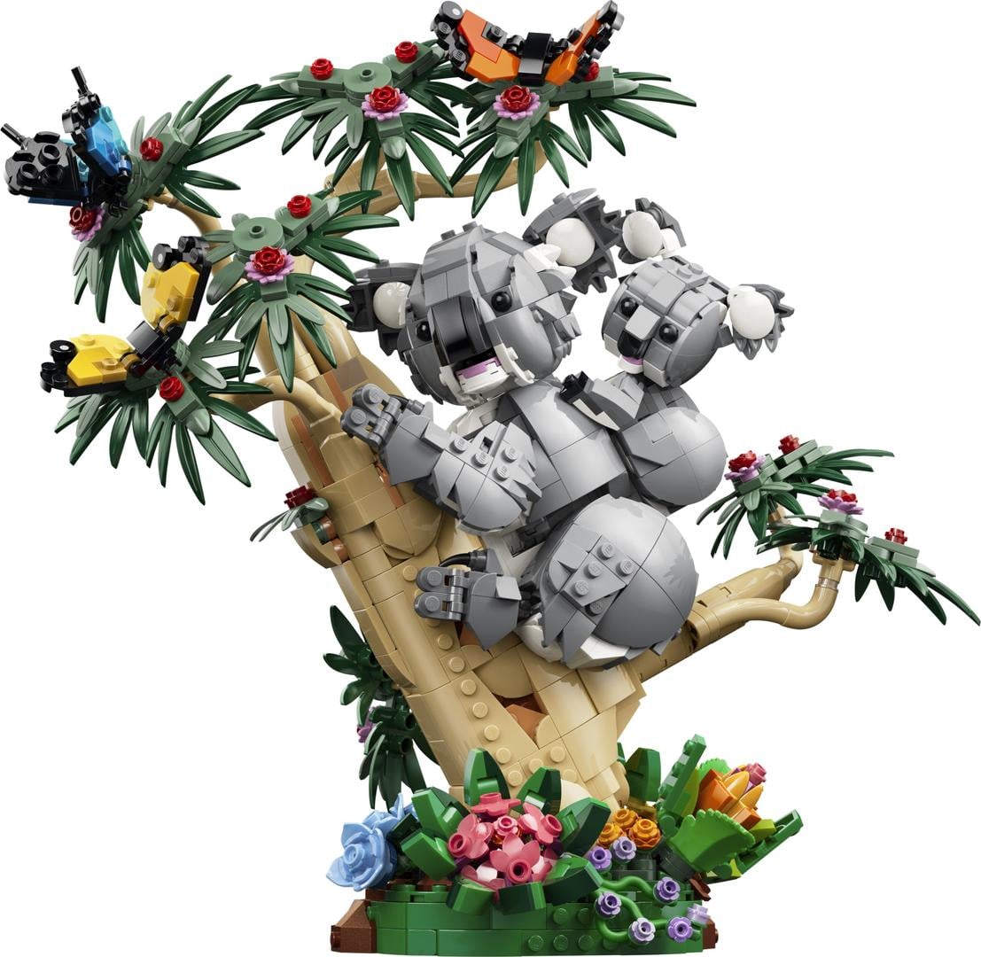 Creator: Wild Animals Family of Koalas
