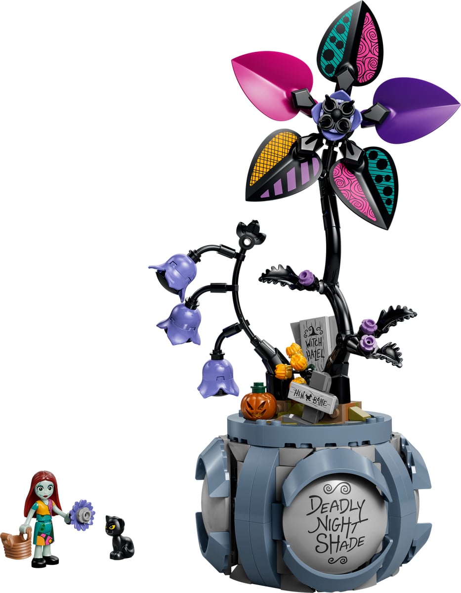 Disney: Sally’s Flowerpot