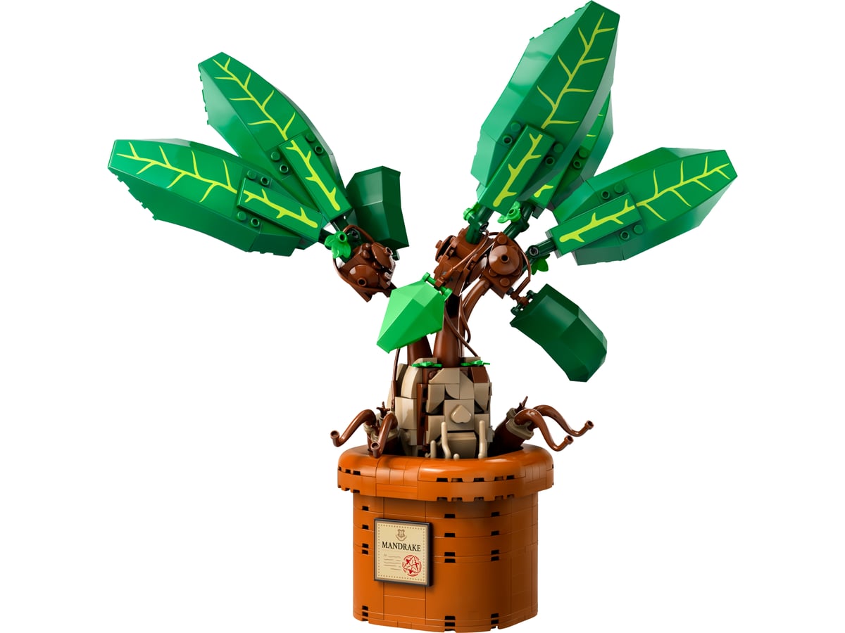 Harry Potter: Mandrake
