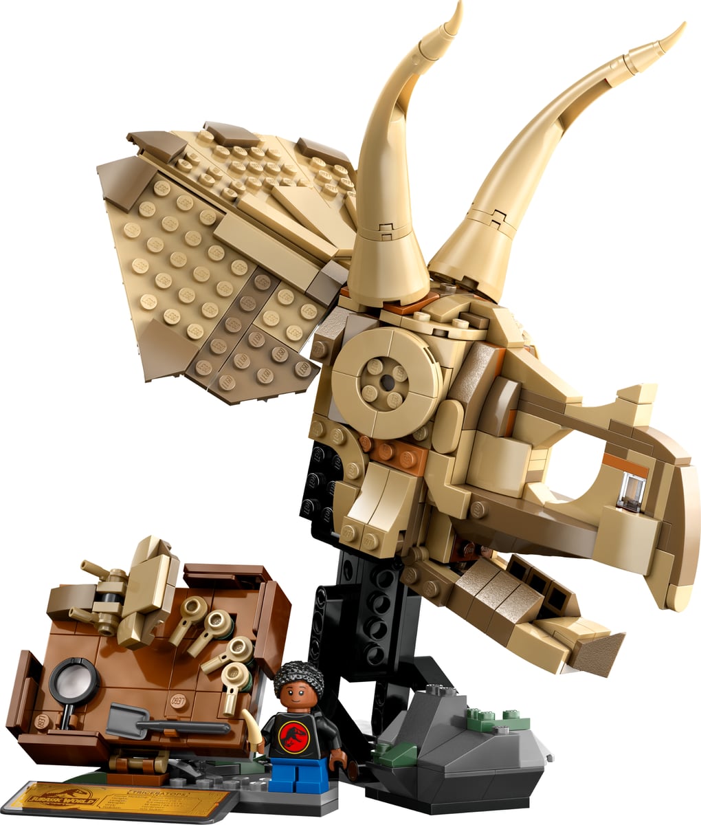 Jurassic World: Dinosaur Fossils: Triceratops Skull