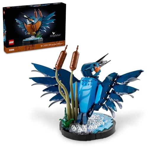 Icons: Kingfisher Bird